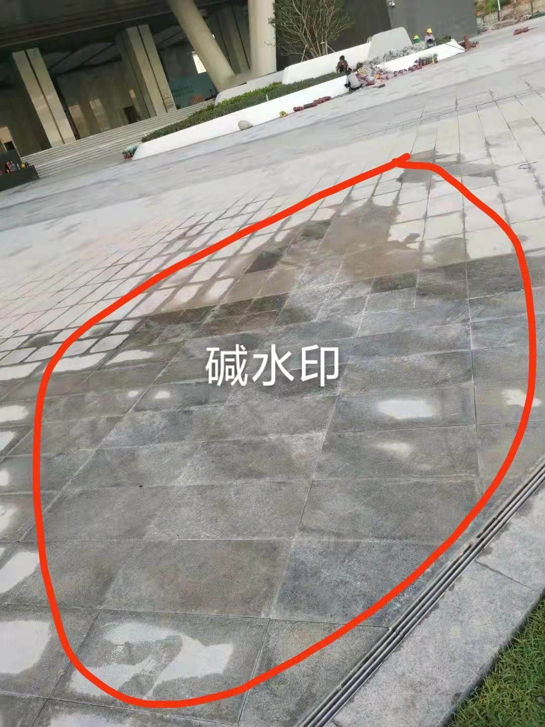 ΢ͼƬ_202109101806471.jpg